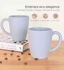 Azure Classic Coffee Mug 300 ml (6 Pc)Rice Husk Biocomposite