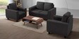Bae 2+1+1 Seater Sofa Set In Woody Brown Colour