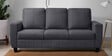 Bae Fabric 3 Seater Sofa in Stone Grey Colour