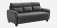 Bakadi Fabric 3 Seater Sofa in Charcoal Grey Colour