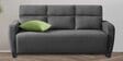 Bakadi Fabric 3 Seater Sofa in Charcoal Grey Colour