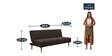 Banzan Sofa Cum Bed In Dark Brown Colour