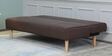 Banzan Sofa Cum Bed In Dark Brown Colour