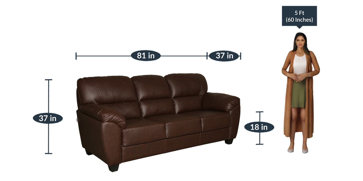 Buy Bari 3 Seater Sofa in Dark Brown colour by Furnitech Online