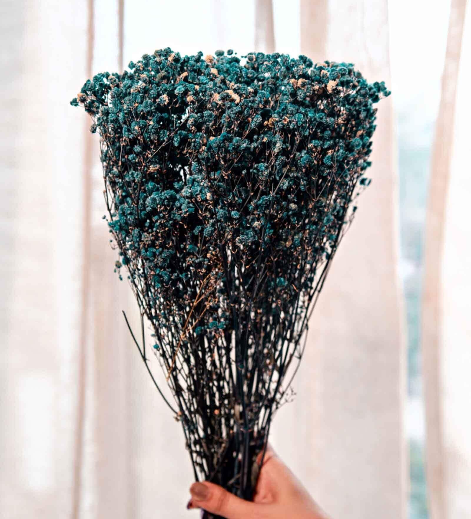 Baby Breaths Blue  Set of 5 Stems Natural Dried Flowers