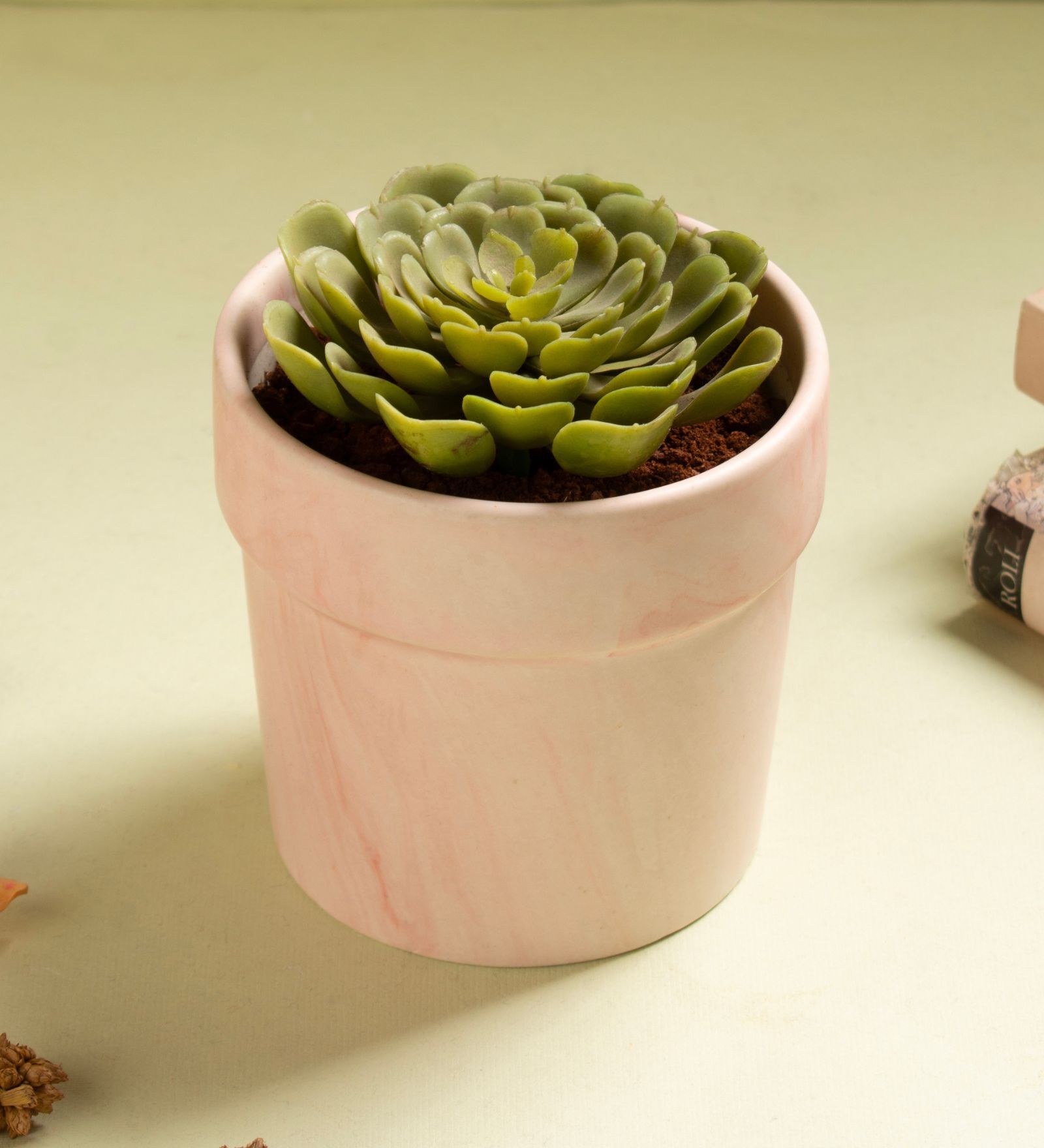 Baby Pink Ceramic Patterned Planter