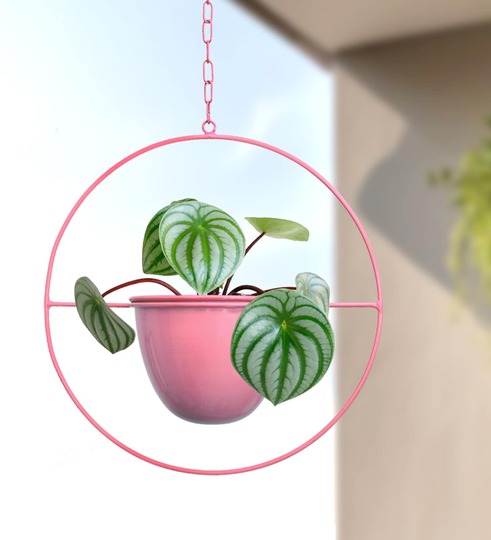 (1Pc) Pink Hanging Metal Plant Stand