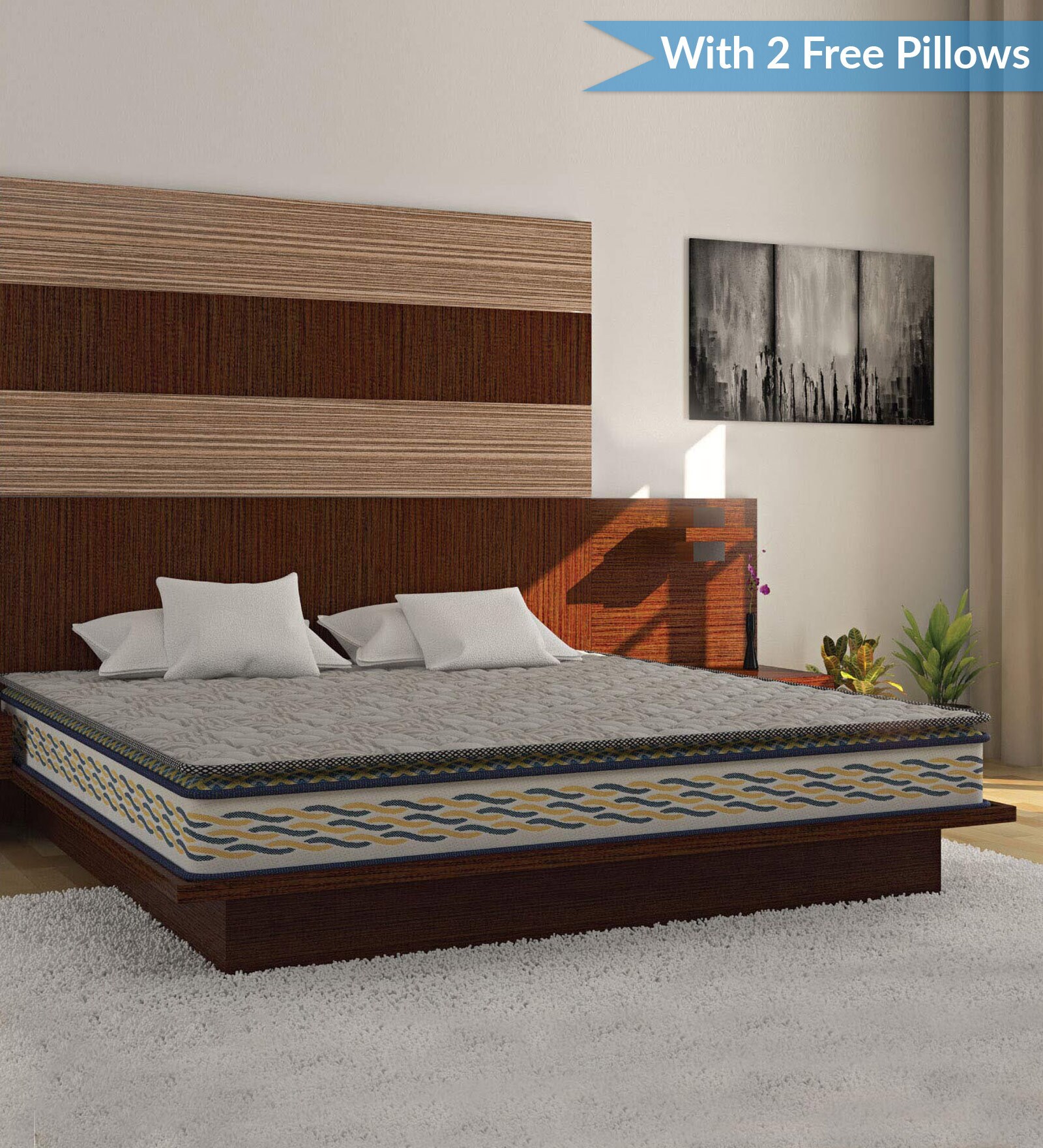 Buy Back Sport Orthopedic Memory Foam 6 Inch Rubberised Coir King Size Mattress (With 2 Free