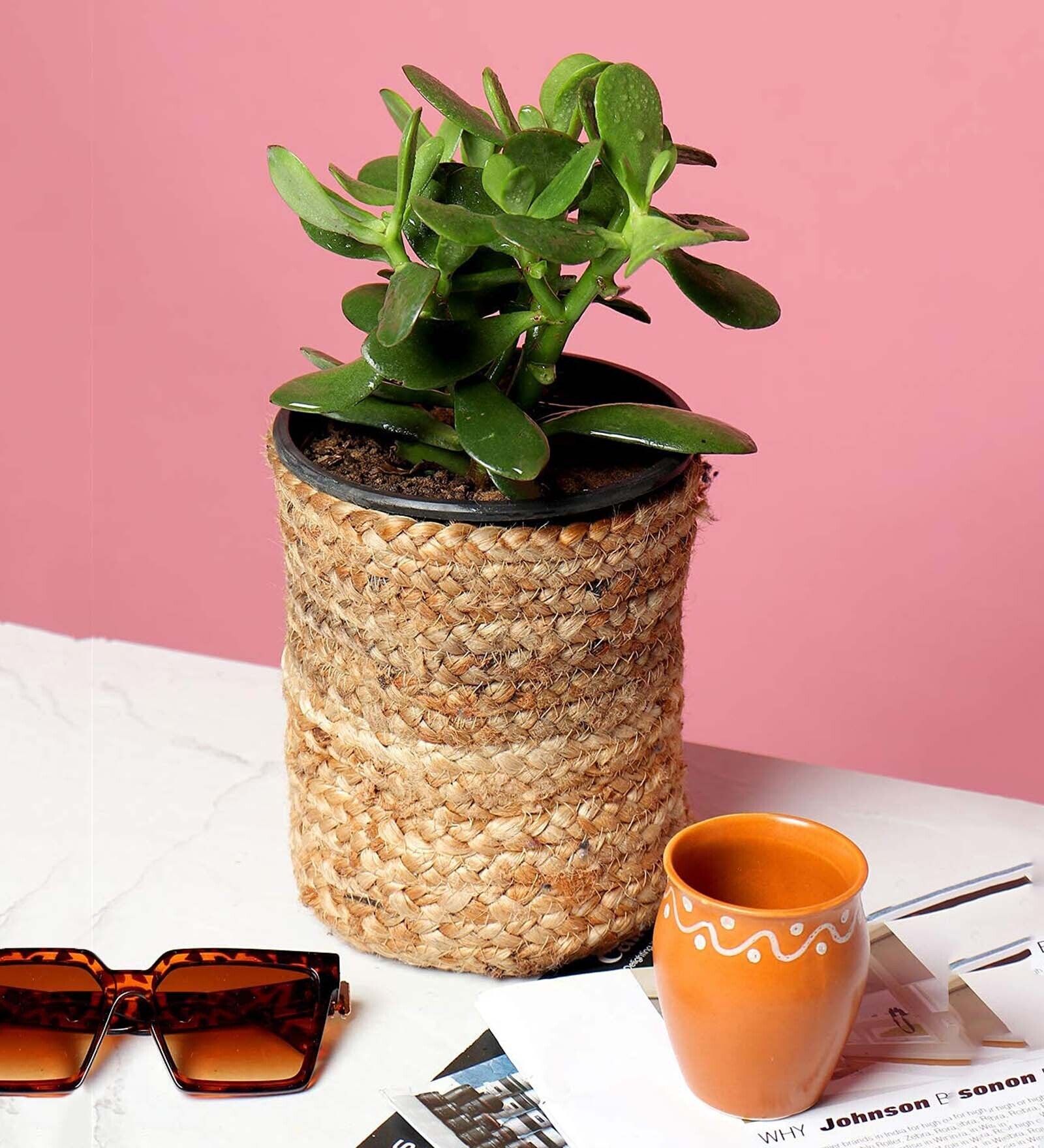 (1Pc) Beige Jute Handwoven Multipurpose Planter & Storage Basket
