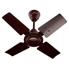 Ceiling Fans 