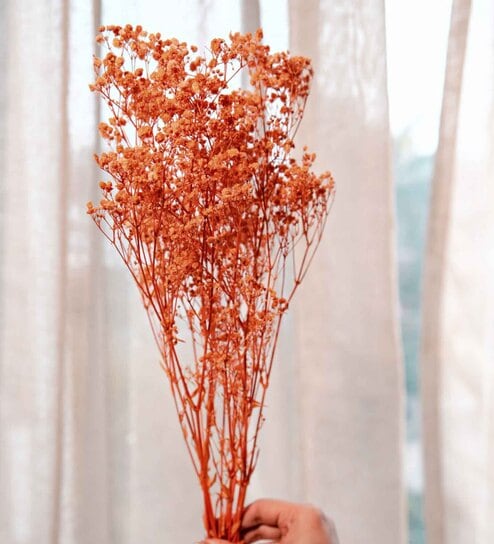 Baby Breaths Orange  Set of 5 Stems Natural Dried Flowers