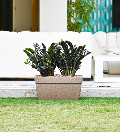 Sand Barca Rectangular 24 Inch Planter