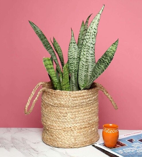 (1Pc) Beige Jute Handwoven Multipurpose Planter & Storage Basket