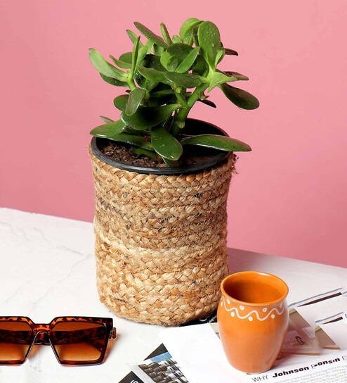 (1Pc) Beige Jute Handwoven Multipurpose Planter & Storage Basket