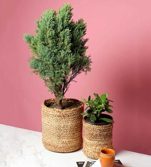 Set Of 2 Beige Jute Handwoven Multipurpose Planter & Storage Basket
