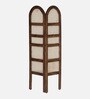 Baarn Mango Wood Display Shelf In Rustic Teak Finish