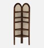 Baarn Mango Wood Display Shelf In Rustic Teak Finish