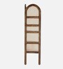 Baarn Mango Wood Display Shelf In Rustic Teak Finish