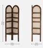 Baarn Mango Wood Display Shelf In Rustic Teak Finish