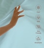 Baby Blue Solid 400 TC Cotton King Sized Bedsheet with 2 Pillow Covers