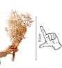 Baby Breaths White  Set of 5 Stems Natural Dried Flowers
