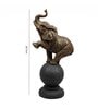 Baby Elephant Sitting on Ball (Grey & Gold, 26.7cm)