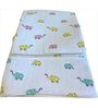 Baby Elephant Swaddle (Set of 2) in Multicolour