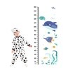 Baby Fish in Multicolour Height Chart