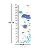 Baby Fish in Multicolour Height Chart