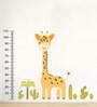 Baby Giraffe Height Chart in Multicolour