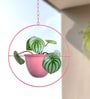 (1Pc) Pink Hanging Metal Plant Stand