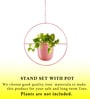 (1Pc) Pink Hanging Metal Plant Stand