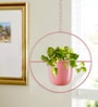 (1Pc) Pink Hanging Metal Plant Stand
