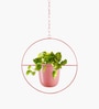 (1Pc) Pink Hanging Metal Plant Stand