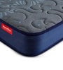 Back Magic 5 Zoned Orthopedic Coir & Rebonded Foam 5 Inch King Size Mattress