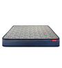 Back Magic Pro Orthopedic Bonded Foam 5 Inch Single Size Mattress