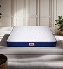 Back Master 5 inch Rebonded Foam Single Mattress