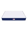 Back Master 6 inch Rebonded Foam Queen Size Mattress