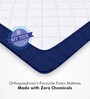 Back Master with NFF Tech. Bonded Foam 8 Inches King Size Mattress in White Colour