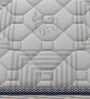 Back Sport Orthopedic Memory Foam 6 Inch Rubberised Coir Single Size Mattress