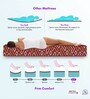 BACK SUPPORT Orthosense Cocopedic Tech. Coir 5 Inches Single Size Mattress in Maroon Colour