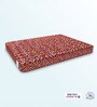 BACK SUPPORT Orthosense Cocopedic Tech. Coir 8 Inches King Size Mattress in Maroon Colour