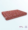 BACK SUPPORT Orthosense Cocopedic Tech. Coir 8 Inches Single Size Mattress in Maroon Colour