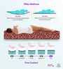 BACK SUPPORT Orthosense Cocopedic Tech 6 Inch HR Foam & Coir King Size Mattress