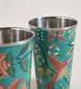 Bahaar Tumblers Large