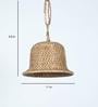 Baige Assam Cane Single Hanging Light Set of 2