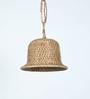 Baige Assam Cane Single Hanging Light Set of 2