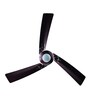 Bajaj Euro NXG Anti-Germ BBD 1200 mm Ceiling Fan (Chocolate Brown)