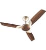 Bajaj Harrier Anti-Germ BBD 1200 mm Ceiling Fan (Honey Brown)
