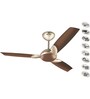 Bajaj Harrier Anti-Germ BBD 1200 mm Ceiling Fan (Honey Brown)